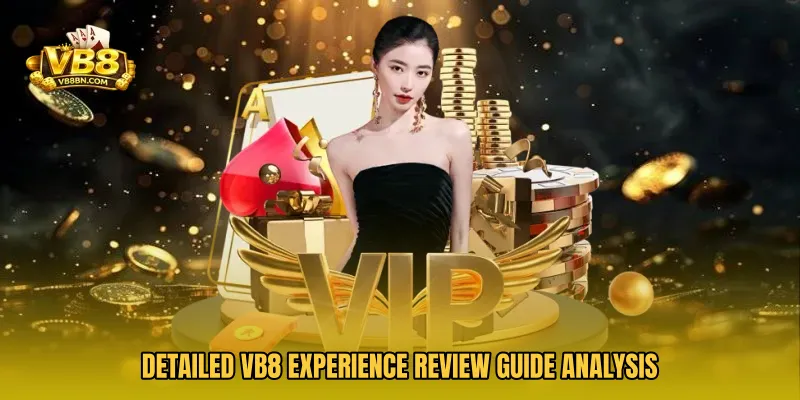 Detailed VB8 Experience Review Guide analysis