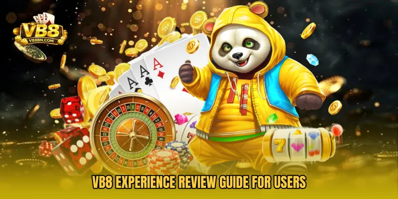 VB8 Experience Review Guide for users